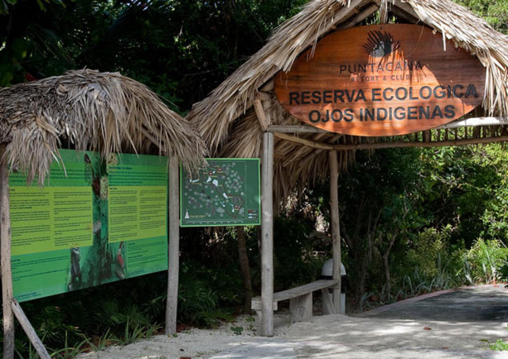 Indigenous Eyes Ecological Park and Reserve (Parque Ojos Indigenas)